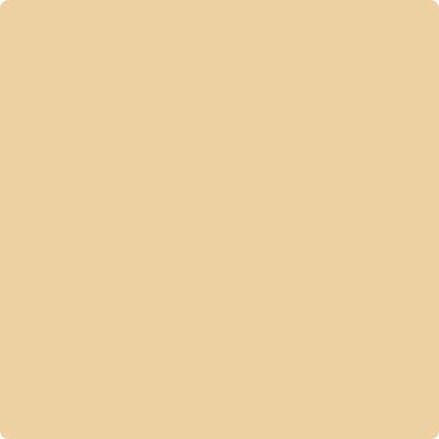 CC-244: French Toast  a paint color by Benjamin Moore avaiable at Clement's Paint in Austin, TX.