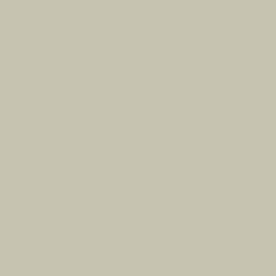 CC-606: Spanish Olive  a paint color by Benjamin Moore avaiable at Clement's Paint in Austin, TX.