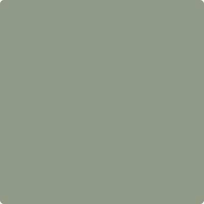 CC-620: High Park  a paint color by Benjamin Moore avaiable at Clement's Paint in Austin, TX.