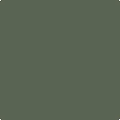 CC-630: Backwoods  a paint color by Benjamin Moore avaiable at Clement's Paint in Austin, TX.