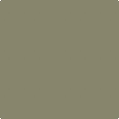 CC-694: Tapenade  a paint color by Benjamin Moore avaiable at Clement's Paint in Austin, TX.