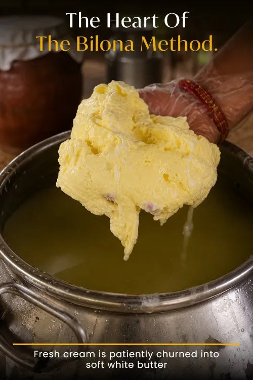Classic Cow Bilona Ghee - (900 ML)