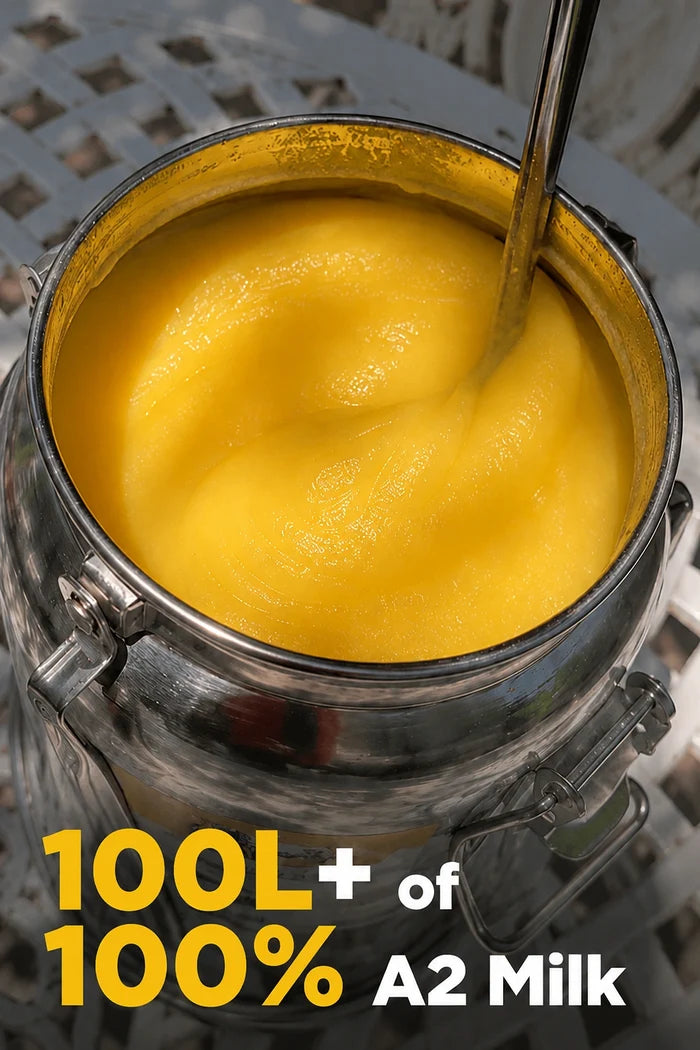 Cow A2 Vedic Desi Ghee Dolchi 5L