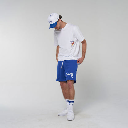 Crate Basic Script Mesh Shorts