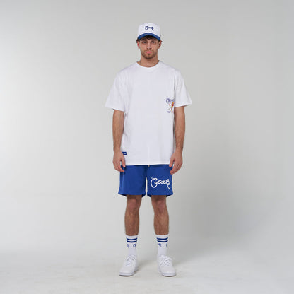 Crate Basic Script Mesh Shorts