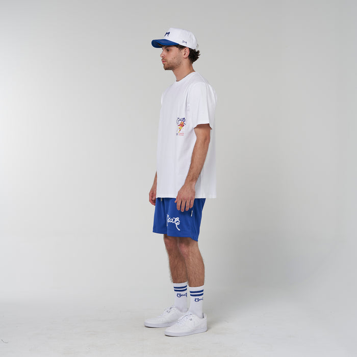 Crate Basic Script Mesh Shorts
