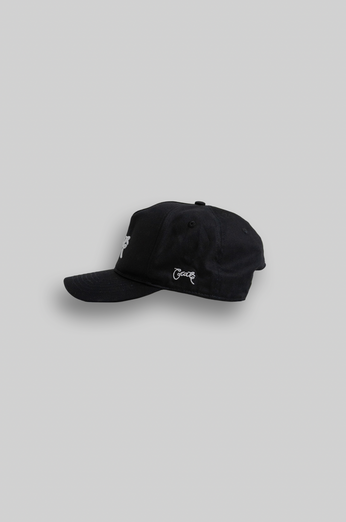 Crate Scripted Snapback