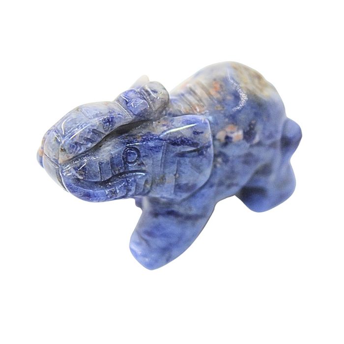 Crystal Elephant – Sodalite Large
