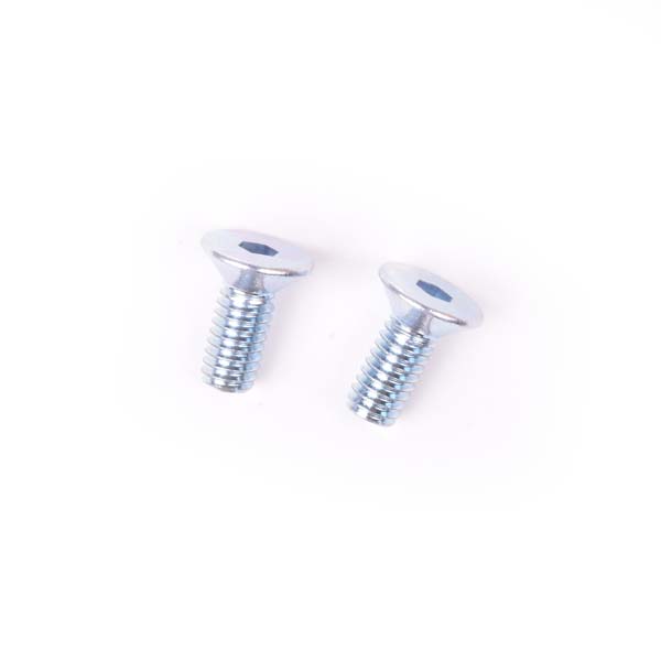 (2) M4x10 flat head screws
