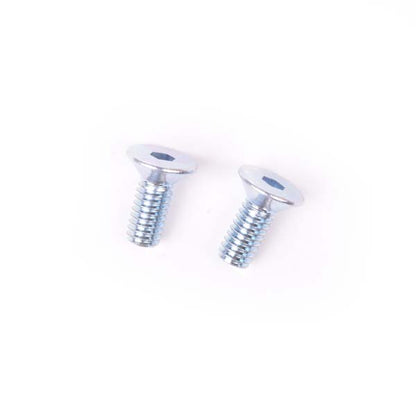 (2) M4x10 flat head screws