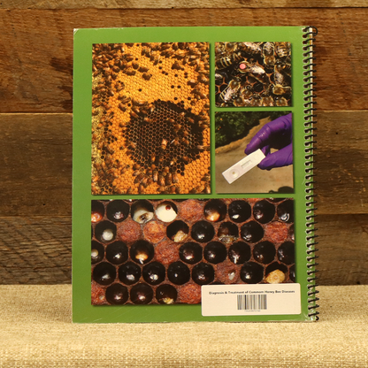 Diagnosis and Treatment of Common Honeybee Diseases