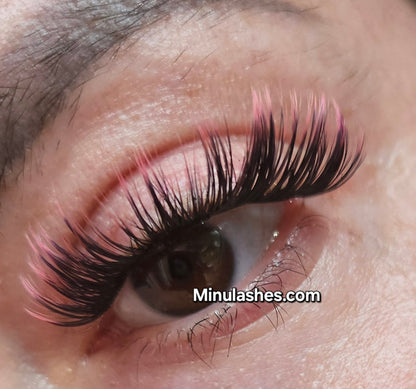 DIY Lash Clusters D-Curl Ombre – Black to Color Fade by MinuLashes