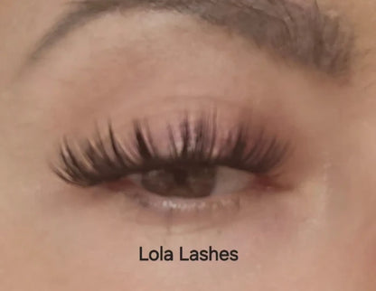 DIY Lash Extension Kit – Large Cluster Tray + Tweezer 4 Styles  10 12 14mm