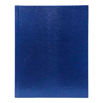 Executive Journal#color_blue
