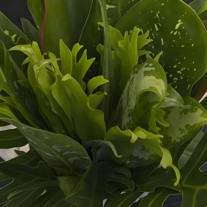 Exotic Jungle Colorful Greenery Centerpiece Close Up - Image