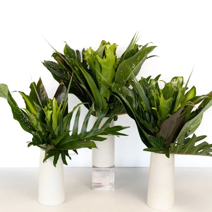 Exotic Jungle Colorful Greenery Centerpiece Close Up - Image
