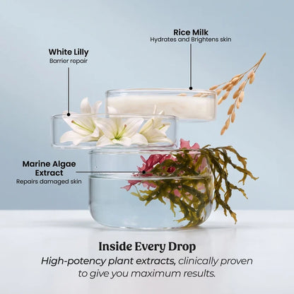 Ingredients of Vilvah Face Lift Combo