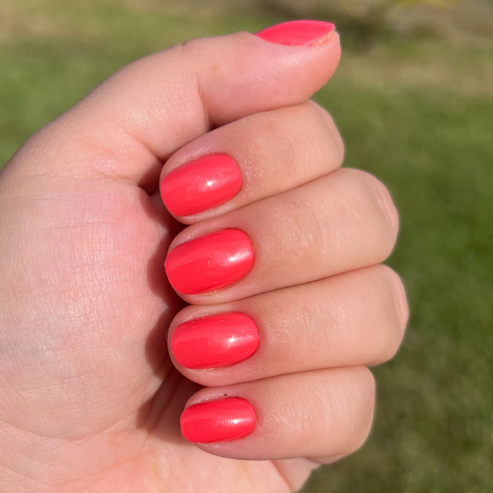 Hand with Field Day | Round | Extra Short press-on nails in glossy juicy red on natural skin tone outdoors with grassy background