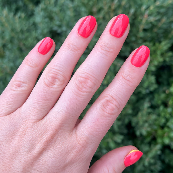 Hand displaying Field Day | Round | Extra Short glossy press-on nails in vibrant watermelon red outdoors with greenery background