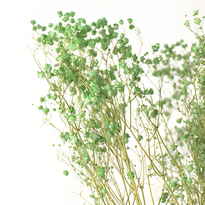 Forest Green Dried Baby's Breath Flower