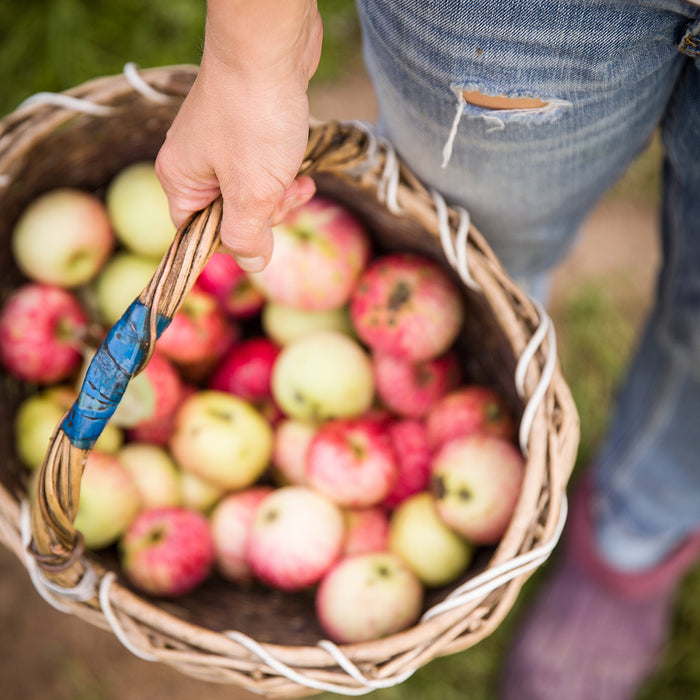 Fresh Picked Apple Fragrance Oil 165