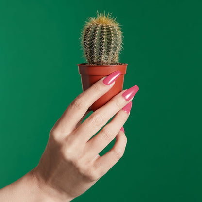 Gel Polish - Beyond Perfect