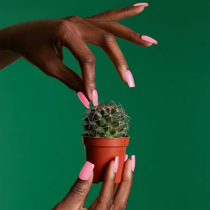 Gel Polish - The Missing Pink