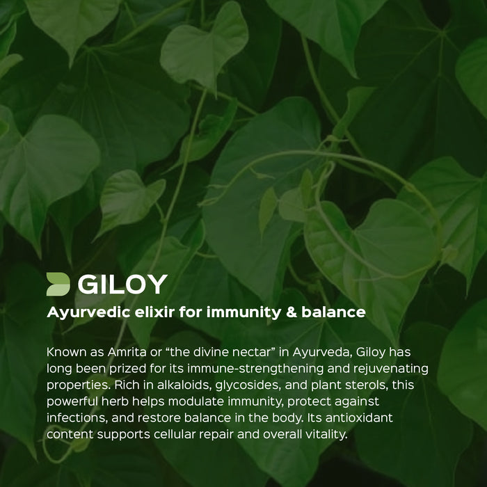 Giloy (Guduchi /Tinospora Cordifolia) dry Extract - 2.5% Bitters by Gravimetry Guduchi