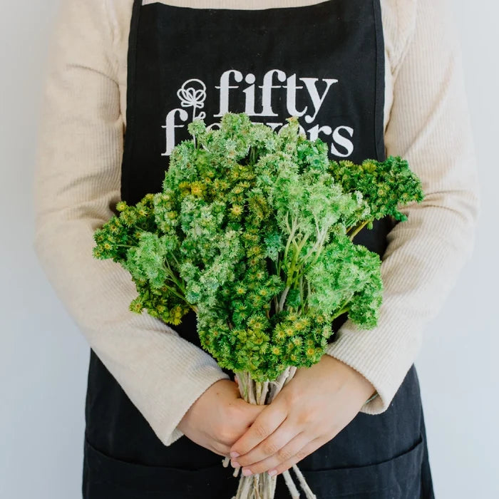 Green Dried Craspedia Andrean Asters Apron - Image