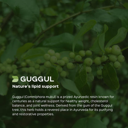 Guggul /Commiphora mukul Extract 60 Veg Capsules (450mg) 2.5% Guggulsterones