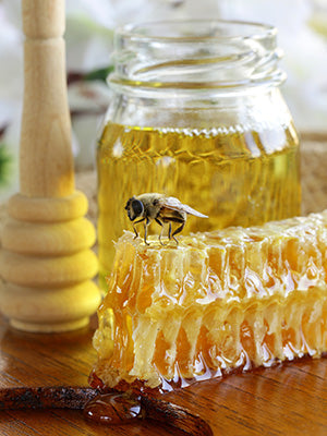 Honey Bee Fragrance Oil 15654