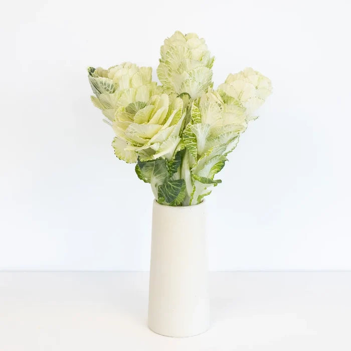 Ivory Princess Kale Vase - Image