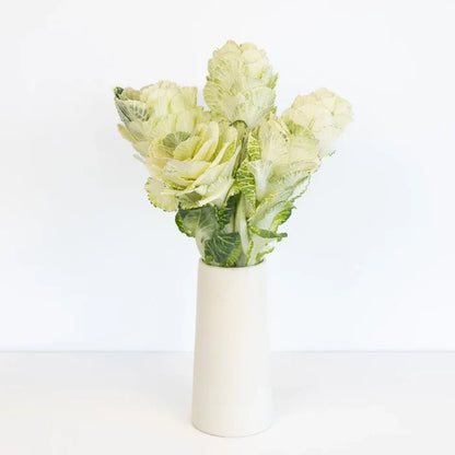 Ivory Princess Kale Vase - Image