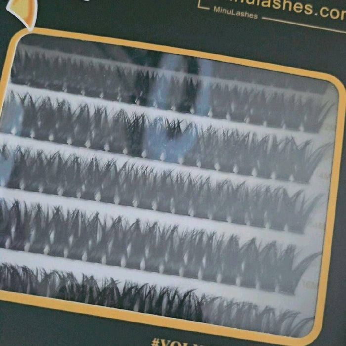 Lash Royal Collection – Mega Premium DIY Lash Box (10+ Items) by MinuLashes