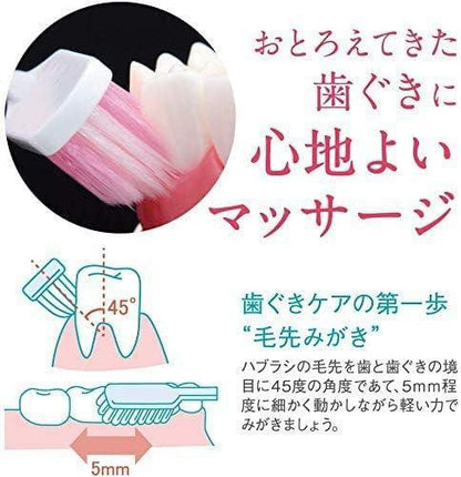 Lion Systema Haguki Plus Compact Head Toothbrush