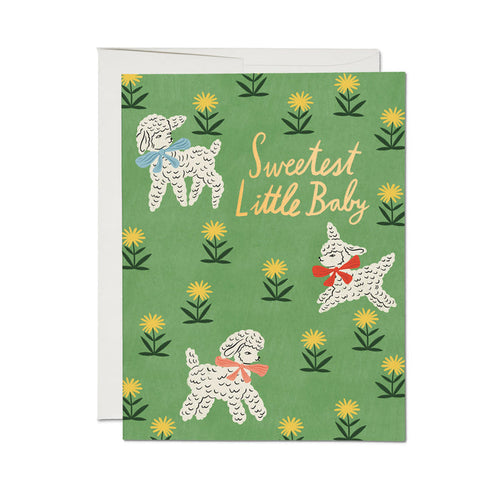 Little Lamb baby card with green floral doodle pattern and poodle illustration, Sweetest Little Baby text