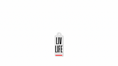 Liv Life keychain