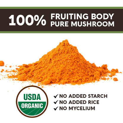 Longevity Botanicals - Organic Cordyceps Mushroom Extract Powder 100g