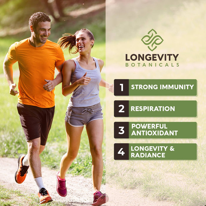 Longevity Botanicals - Organic Cordyceps Mushroom Extract Powder 100g