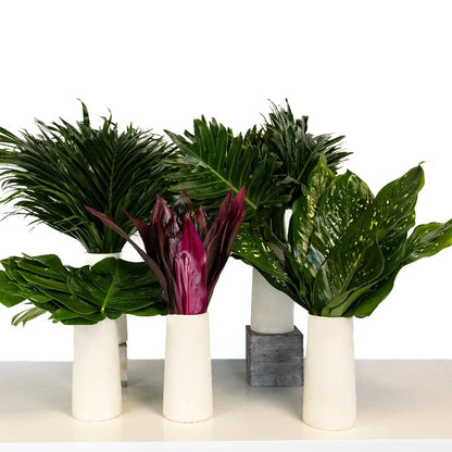 Amazon Diy Flower Kit Recipe - Image