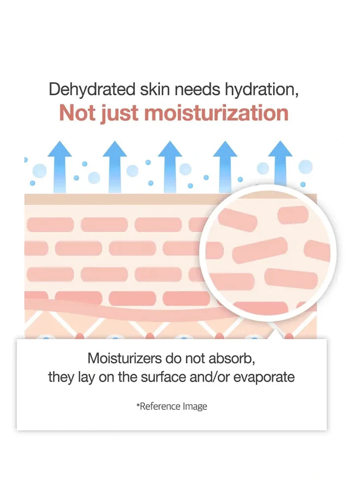 Diagram of skin with text about hydration needs and moisturizers