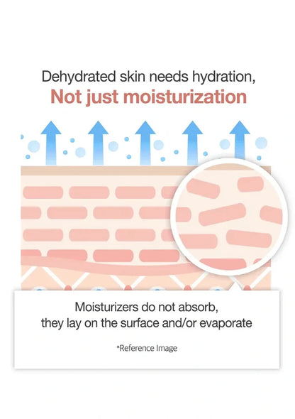 Diagram of skin with text about hydration needs and moisturizers