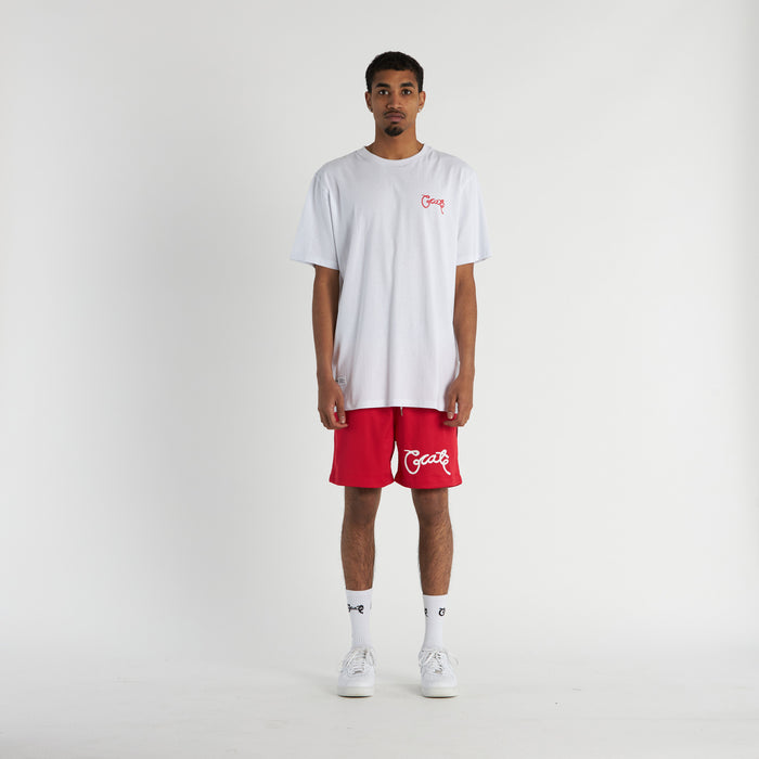 Men's Basic Script Mesh Shorts