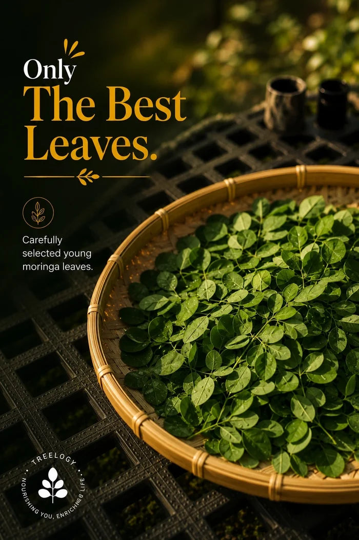 Moringa Powder - 100% Organic .