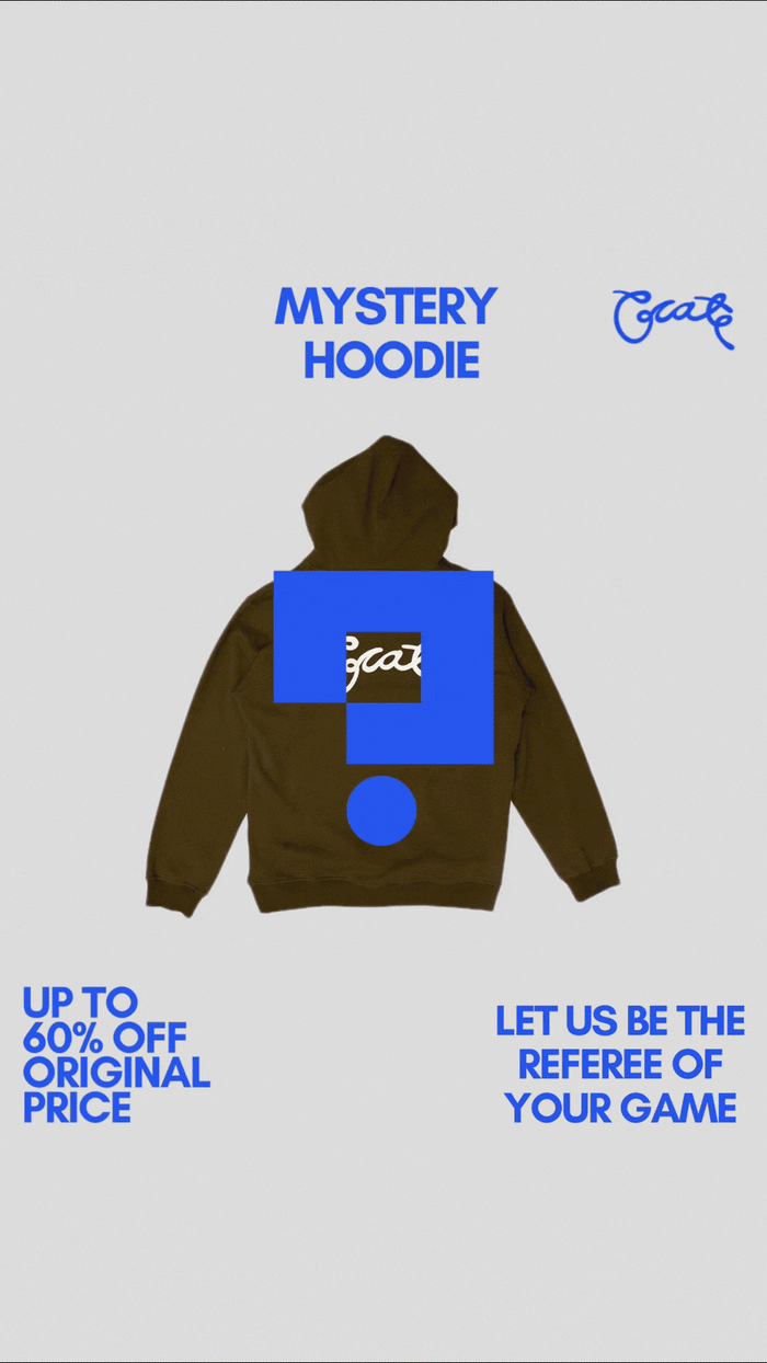Mystery Hoodie/Crew