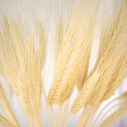 Dried wheat grass bulk flowers