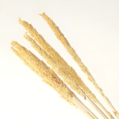 Natural Gorso Rustic Dried Grass