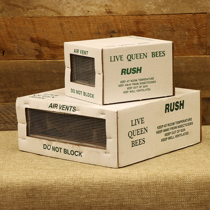 OHB Saskatraz Queen Bee