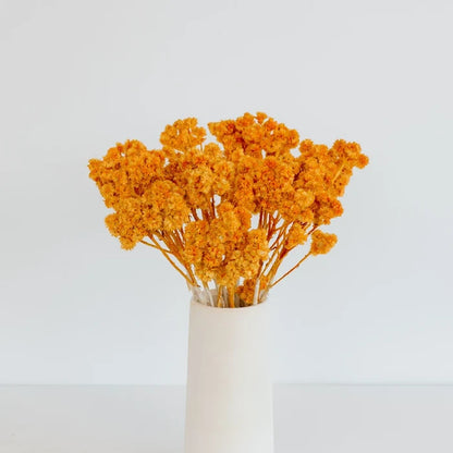 Rustic Orange Dried Andrean Asters Vase - Image
