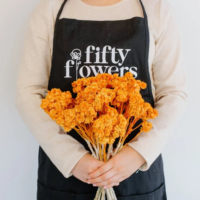 Rustic Orange Dried Andrean Asters Apron - Image
